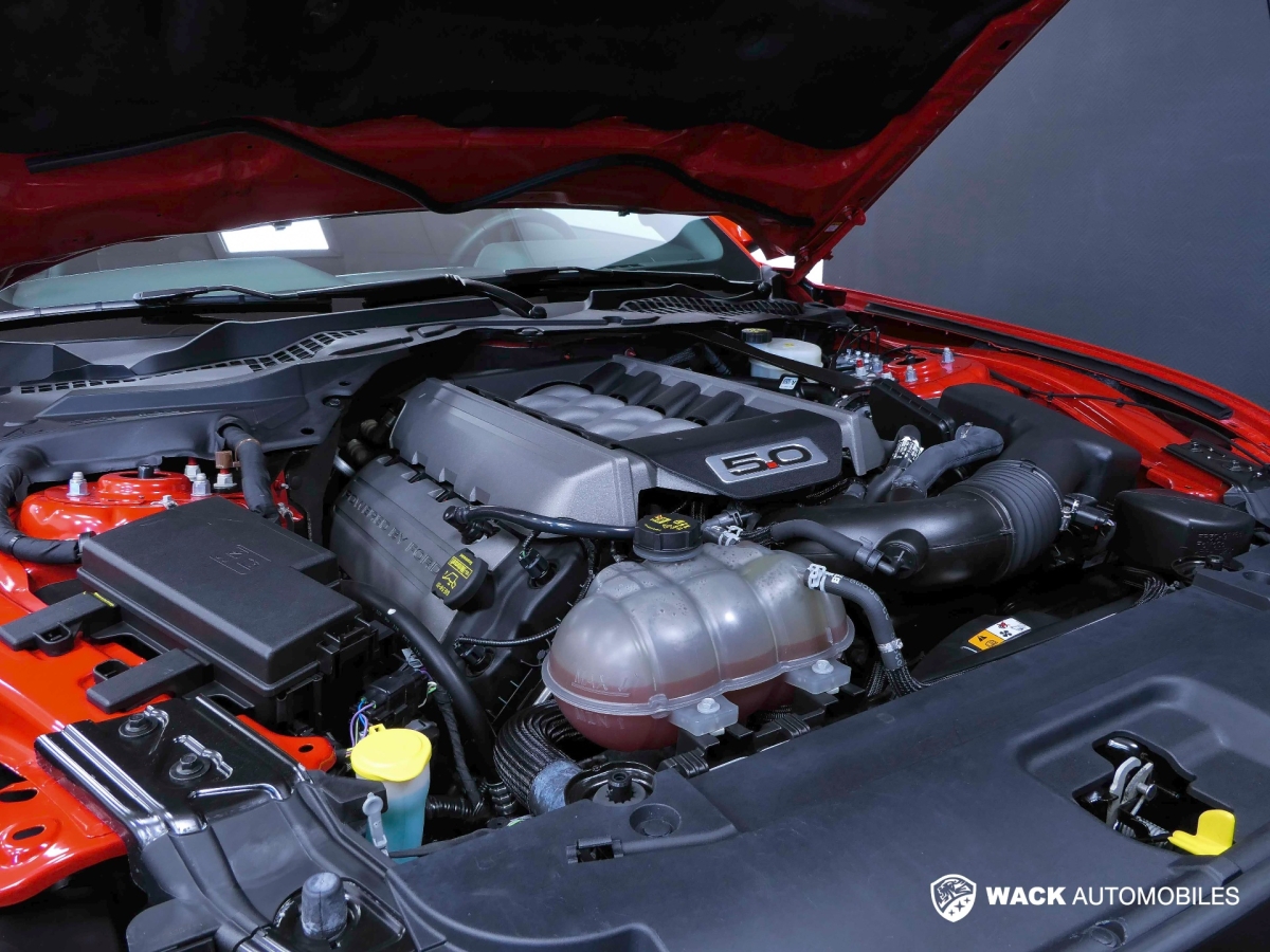 FORD MUSTANG FASTBACK MUSTANG GT V8 5.0L 421 CV BVA 