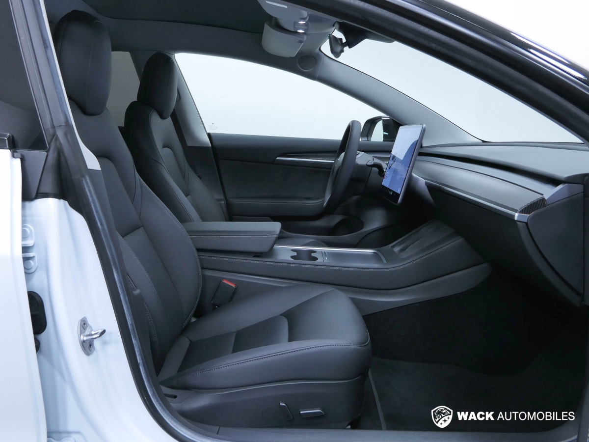 TESLA MODEL 3 MODEL 3 LONG RANGE 346 CV AWD